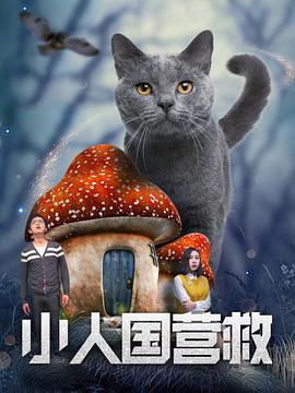 手机在线观看