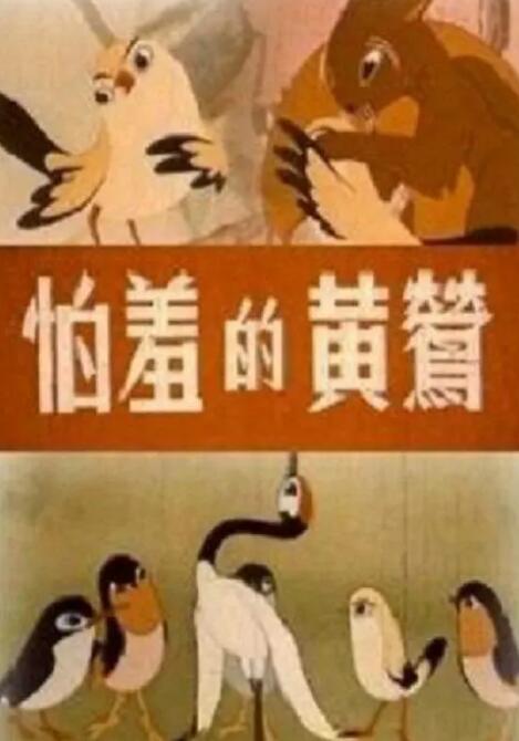 手机免费播放