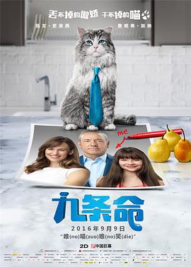BD高清免费观看